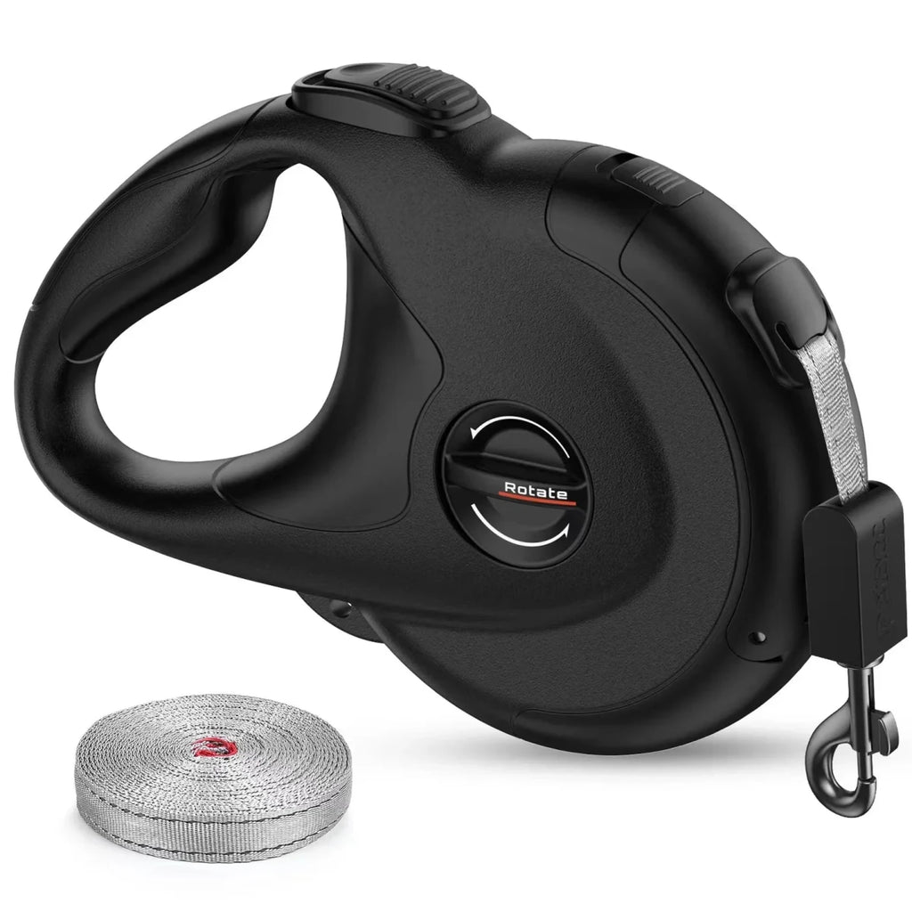 Laisse pour chiot labrador noir