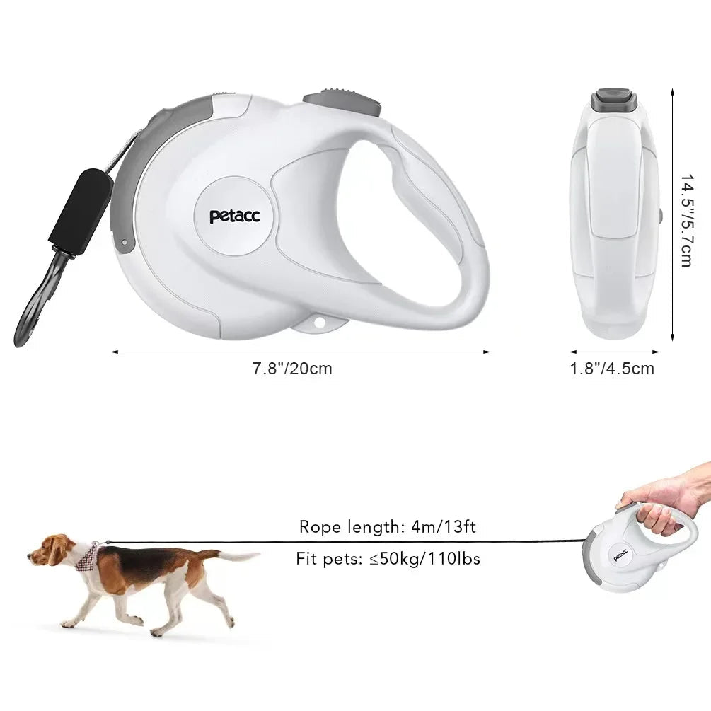 Laisse pour chiot labrador dimensions 