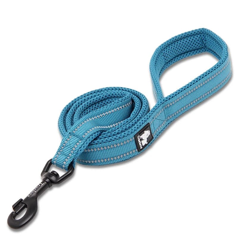 Laisse pour chiot malinois bleu