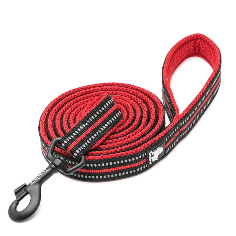 Laisse pour chiot malinois rouge et noir
