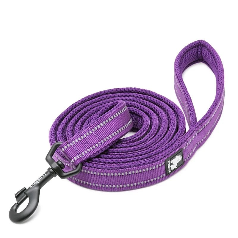 Laisse pour chiot malinois violet