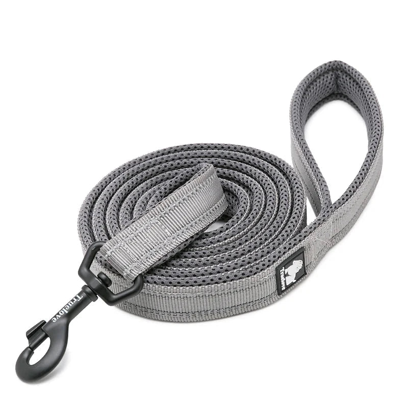 Laisse pour chiot malinois gris
