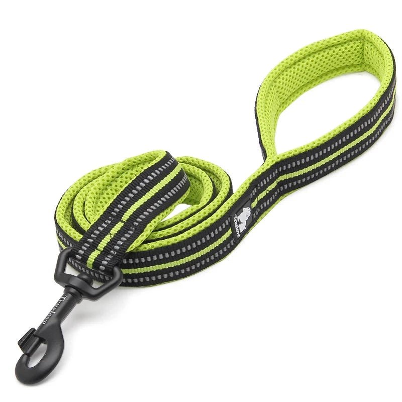 Laisse pour chiot malinois jaune et noir