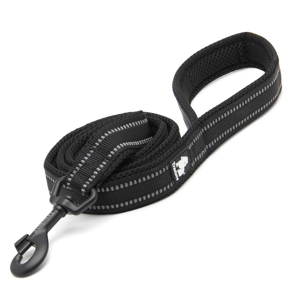 Laisse pour chiot malinois noir