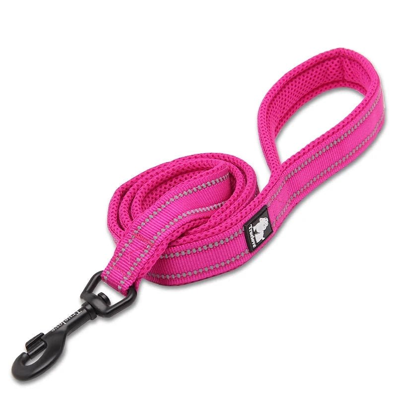 Laisse pour chiot malinois rose 