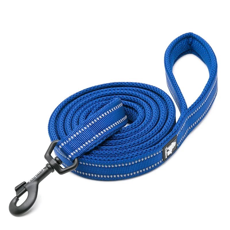 Laisse pour chiot malinois bleu