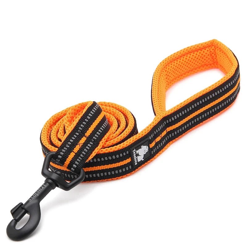 Laisse pour chiot malinois orange
