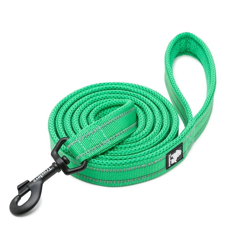 Laisse pour chiot malinois vert claire