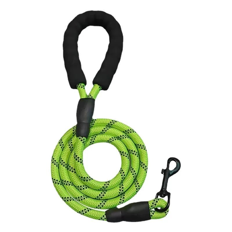 Laisse pour gros chien qui tire fort vert