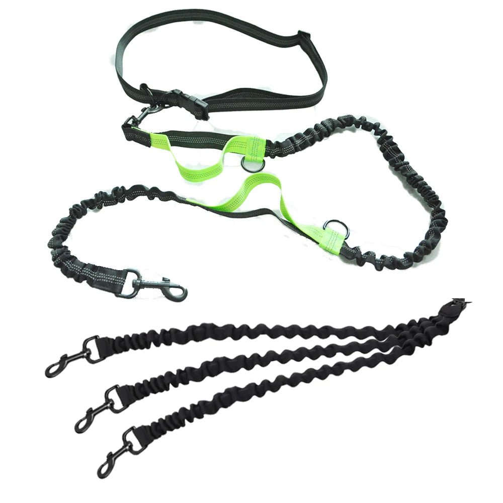 Laisse main libre chien de couleur noir et vert. Le produit est super si vous voulez courir avec trois chien. Image produit Boutiquechien