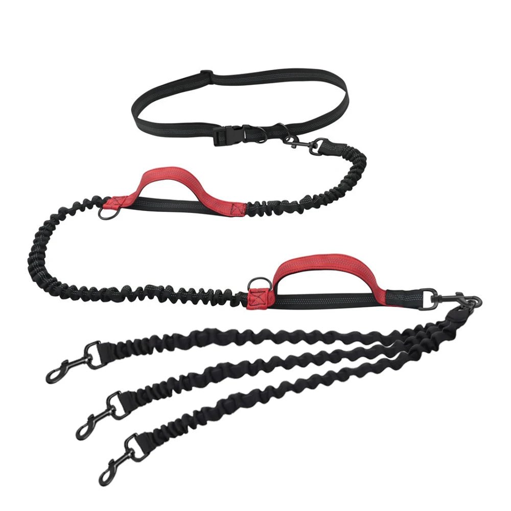 Laisse main libre chien de couleur noir et rouge. Le produit est super si vous voulez courir avec trois chien. Image produit Boutiquechien