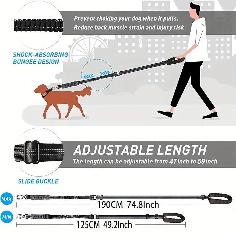 Laisse rétractable pour chien dimensions 