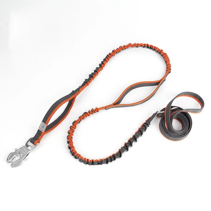 Laisse tactique pour chien orange et noir 