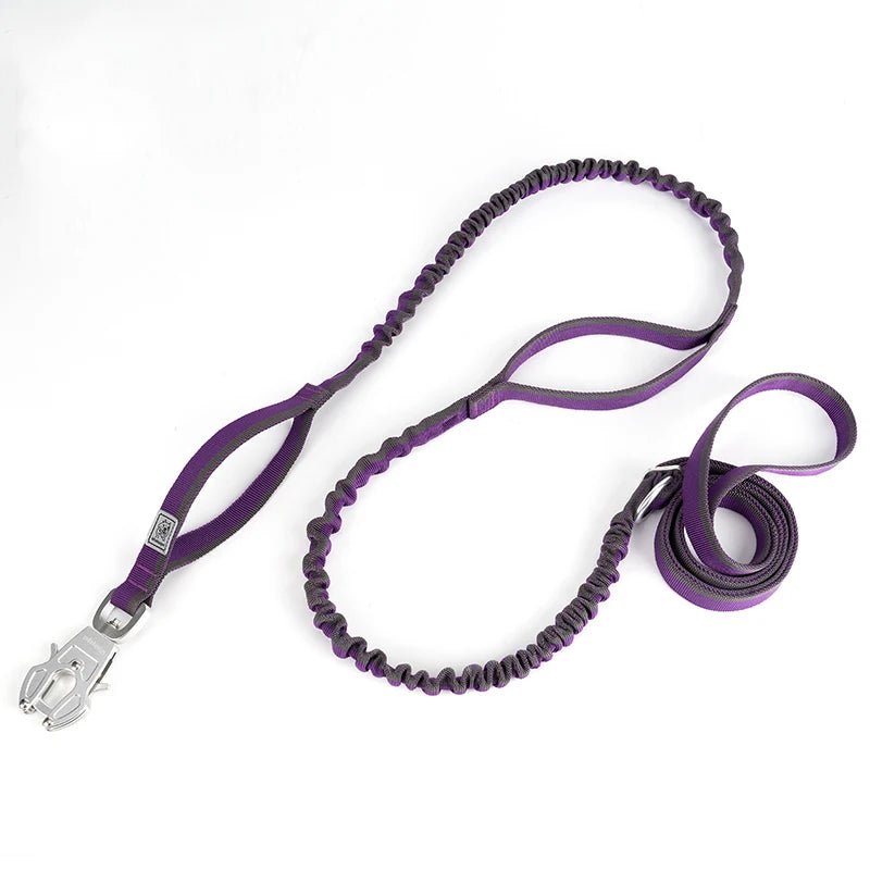 Laisse tactique pour chien gris et violet 
