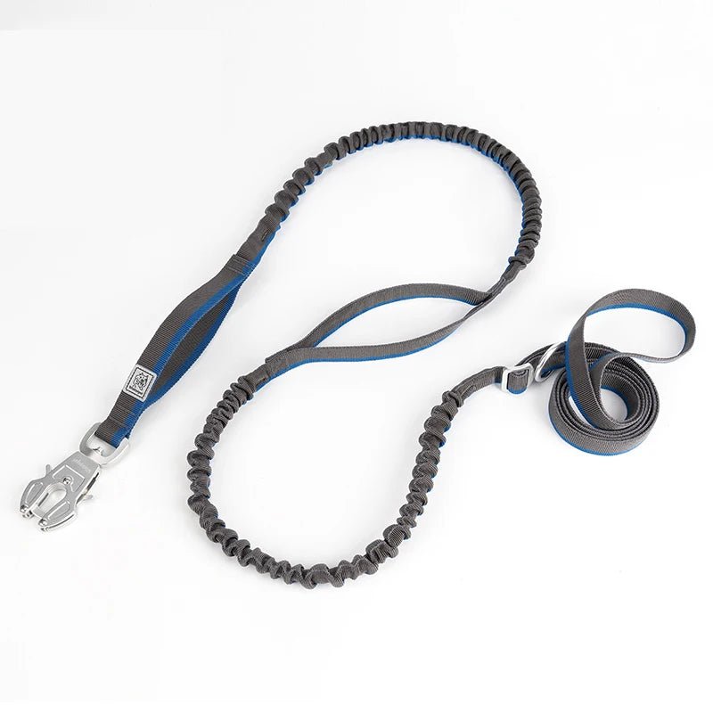Laisse tactique pour chien gris et bleu