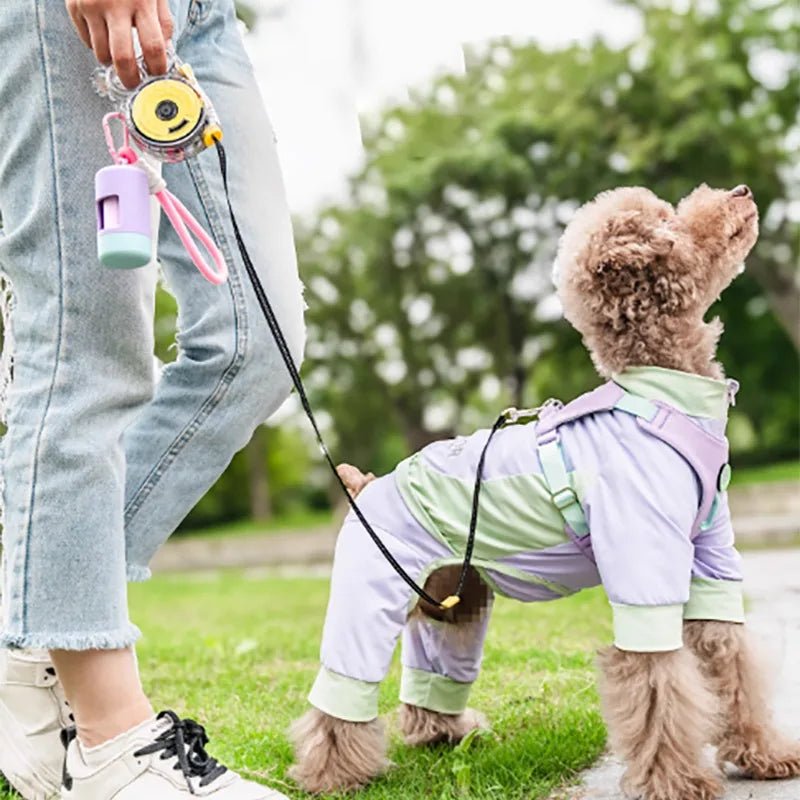 Laisse téléscopique pour chien avec un chien