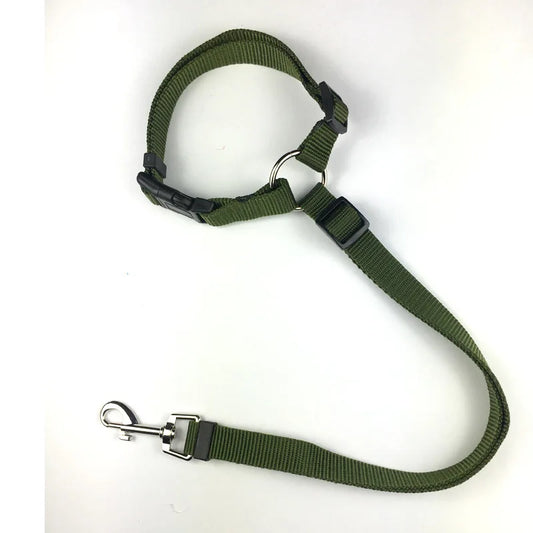Laisse de sécurité pour chien de couleur kaki maintenant son chien avec ke repose tête de sa voiture. La laisse est en nylon. Image produit Boutiquechien
