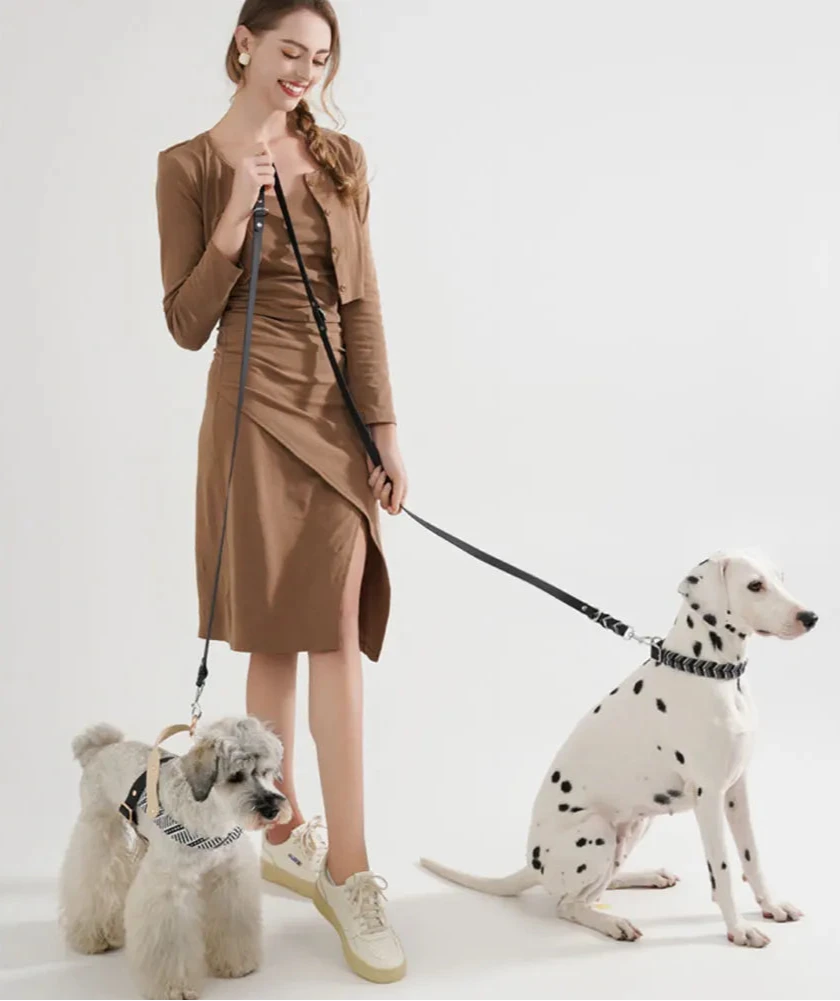 Laisse chien en PVC design et élégante tenu par une femme design et élégante. Les chiens sont de couleur blanc et sont très élégant. Image produit Boutiquechien