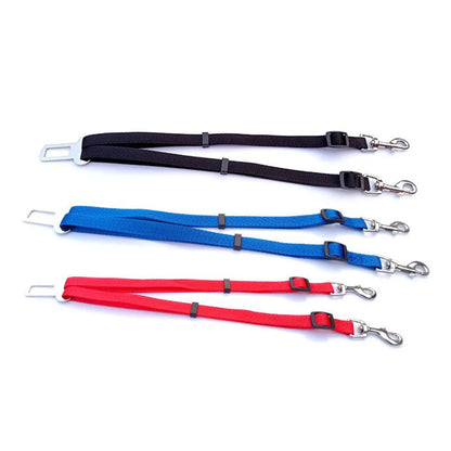 laisse de sécurité pour chien de couleur bleu, rouge et noir de couleur différente. Image produit Boutiquechien