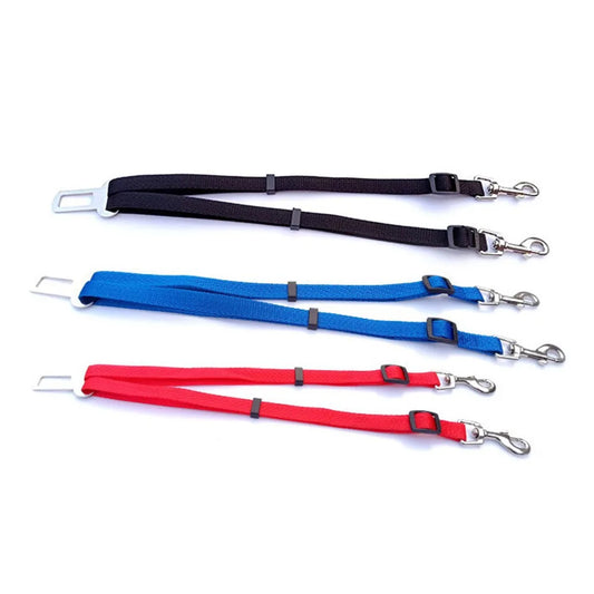 laisse de sécurité pour chien de couleur bleu, rouge et noir de couleur différente. Image produit Boutiquechien
