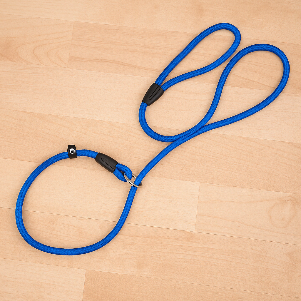 Laisse lasso de couleur bleu posé par terre. Image produit Boutiquechien