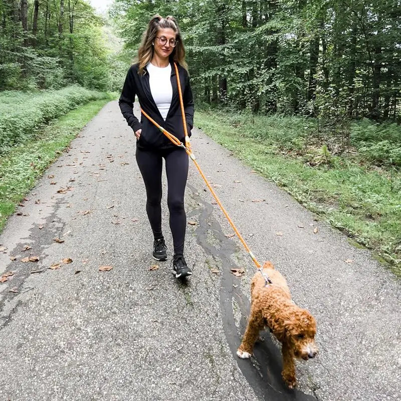 laisse lasso chiot dans une foret verte avec une femme marchant sur le chemin Image