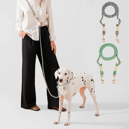 laisse lasso design pour chien. Une femme élégante promène son dalmatien. Image produit Boutiquechien 