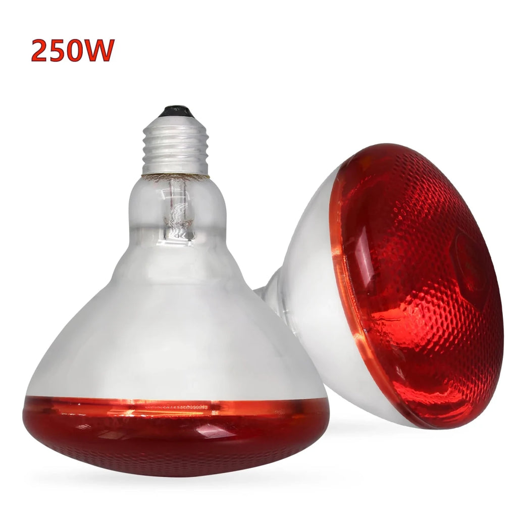 Lampe chauffante chiot 250w