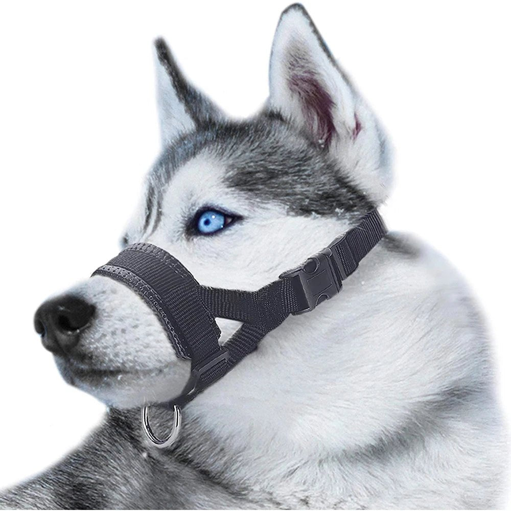 licol noir pour chien confortable et ergonomique 