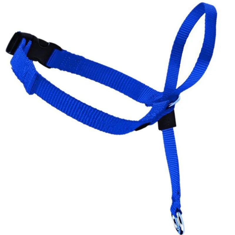 Licol pour grand chien bleu 