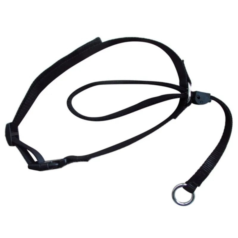 Licol noir pour grand chien
