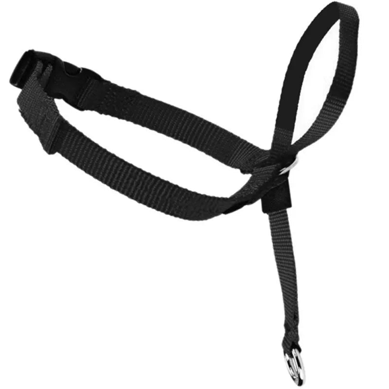 licol noir pour grand chien 
