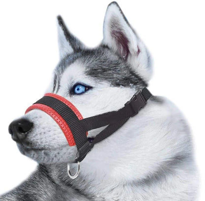licol rouge pour chien renforcé et résistant 
