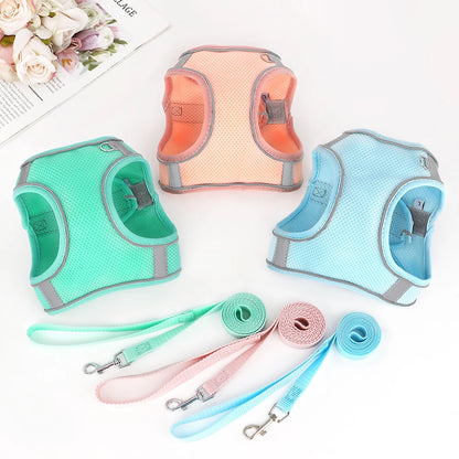 Lot total de harnais pour chihuahua de couleur vert, bleu et orange avec les laisses assortie. Image produit Boutiquechien