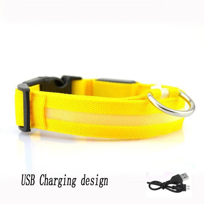 Lumière collier chien jaune 