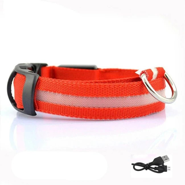Lumière collier chien rouge