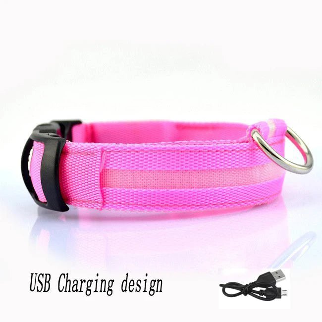 Lumière collier chien rose