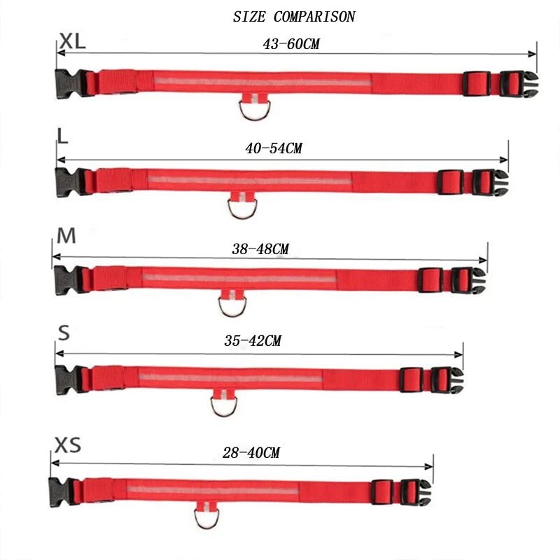 Lumière collier chien dimensions