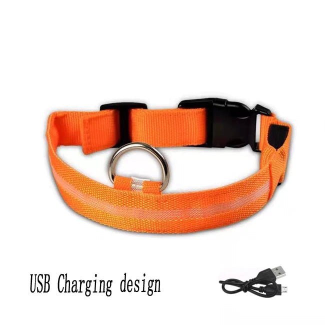 Lumière collier chien orange 