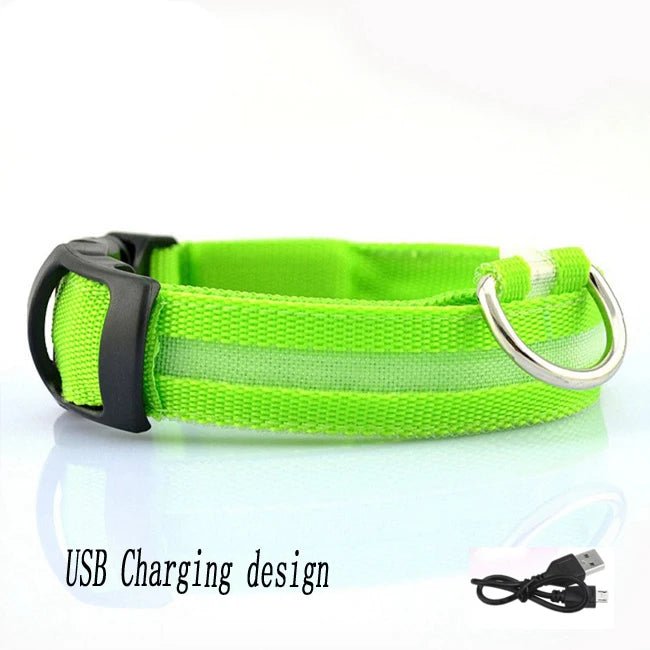 Lumière collier chien vert