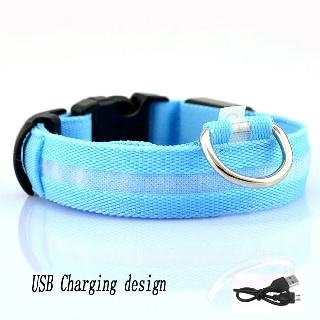 Lumière collier chien bleu