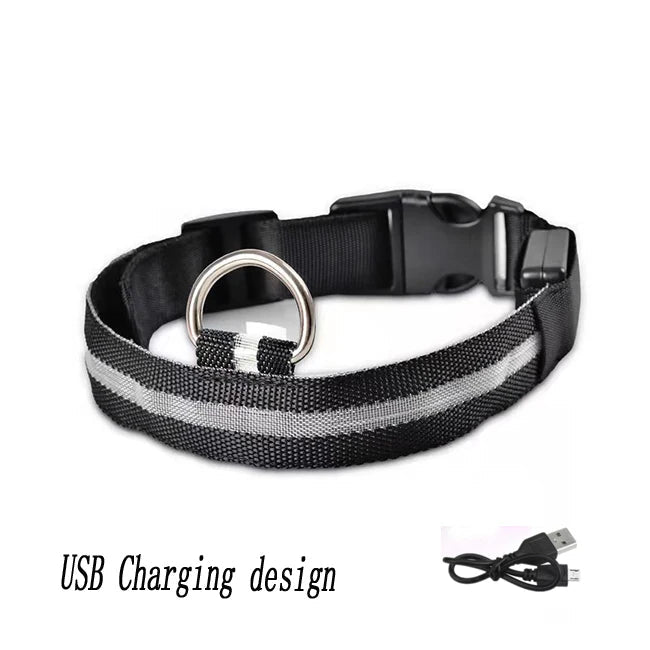 Lumière collier chien noir