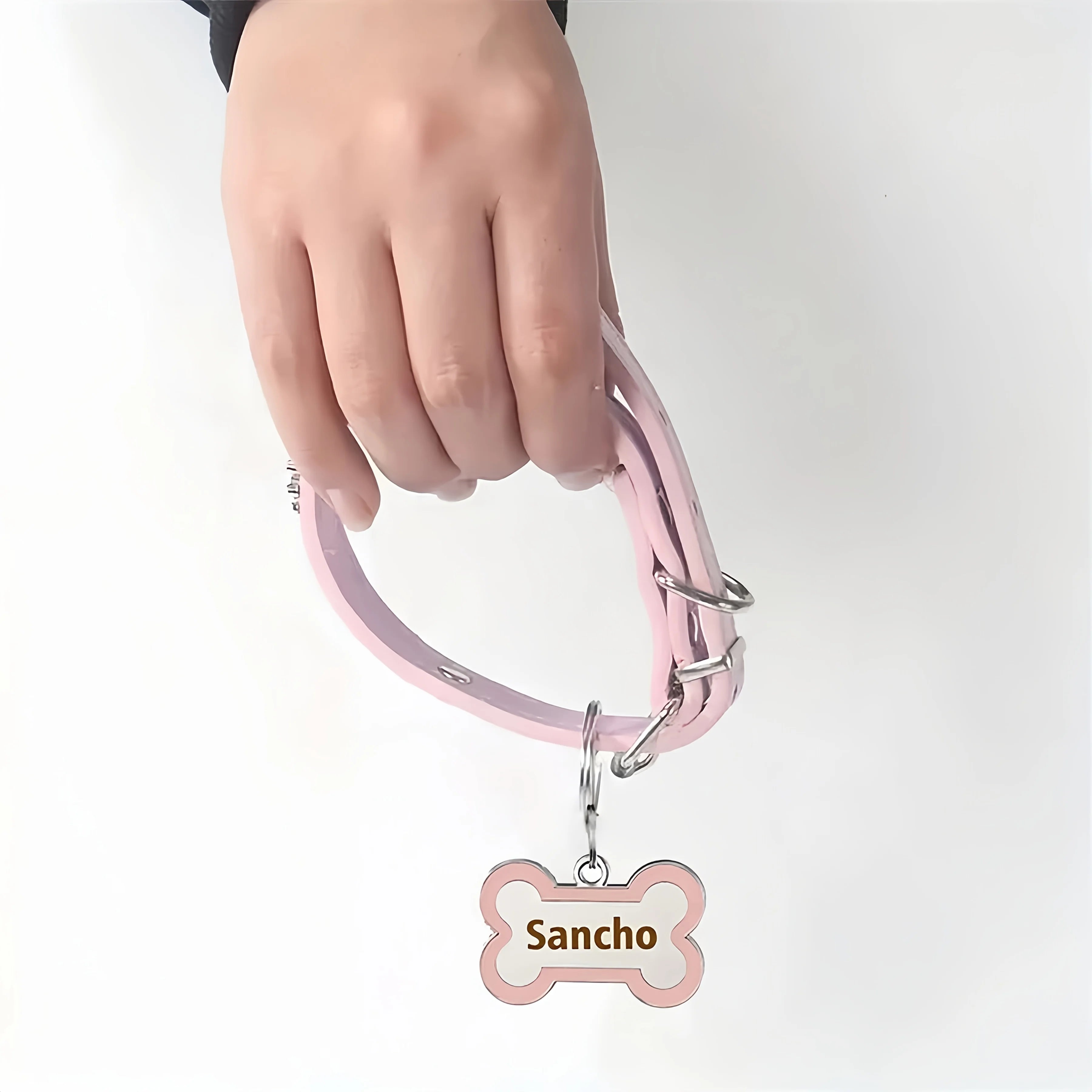 Collier avec médaille pour chien avec une main tenant le produit  Image