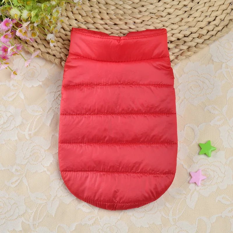 Manteau chihuahua xxs rouge de dos