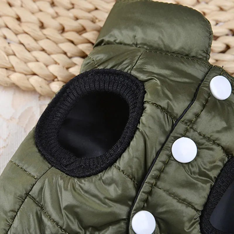 Manteau chihuahua xxs trou