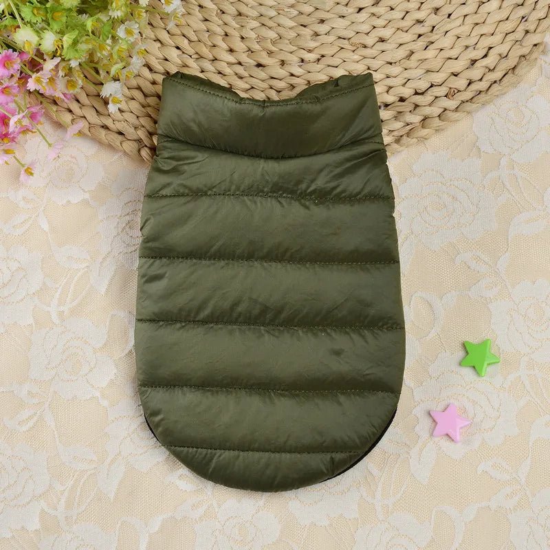 Manteau chihuahua xxs kaki