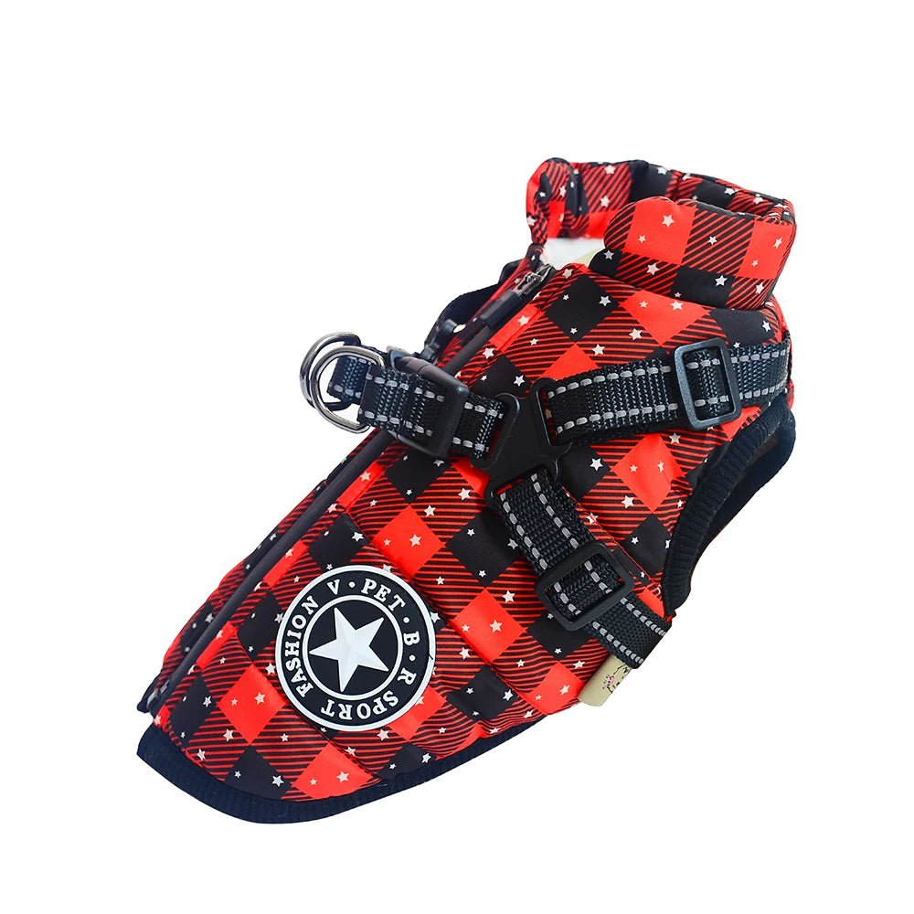 Manteau pour petit chien avec harnais intégré avec des étoiles 