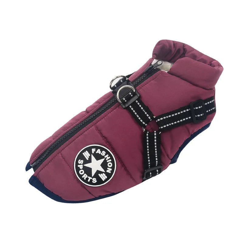 Manteau pour petit chien avec harnais intégré violet fonce