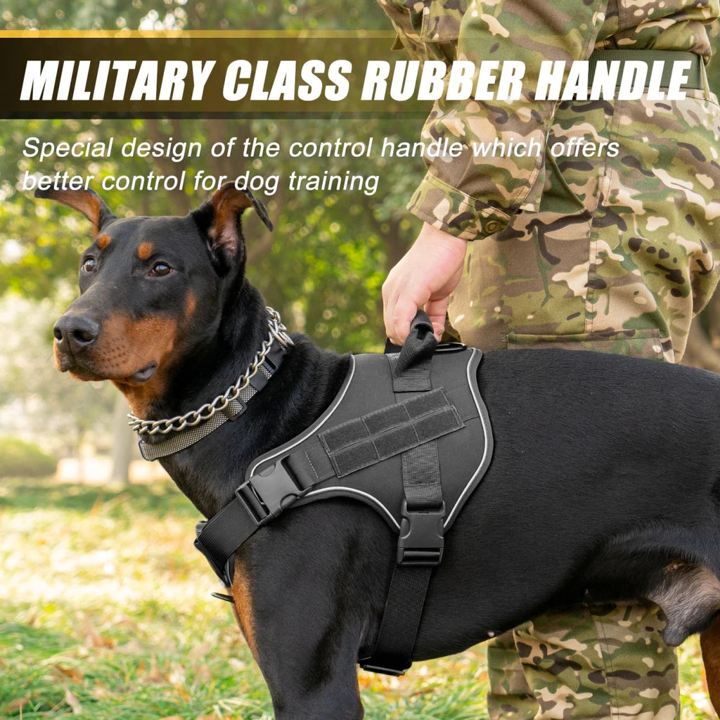 Meilleur harnais anti-traction pour berger allemand avec un chien de harnais 