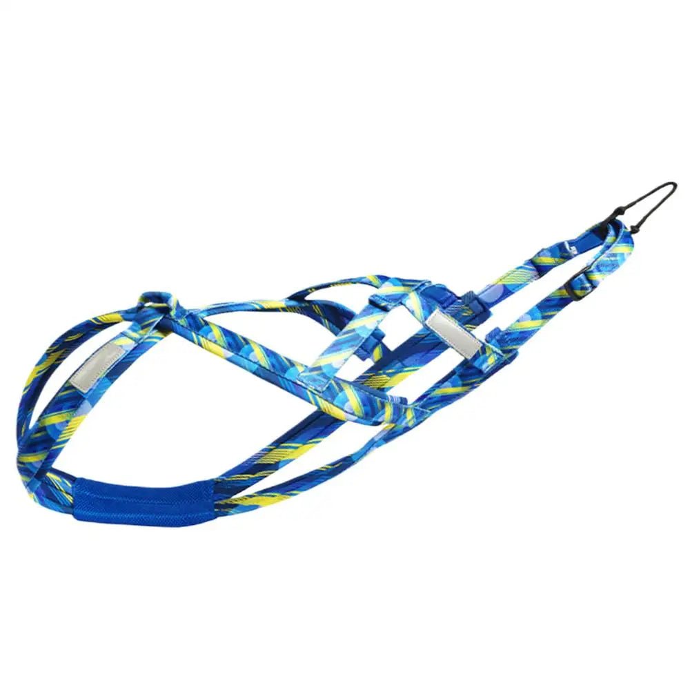 Meilleur harnais canicross bleu